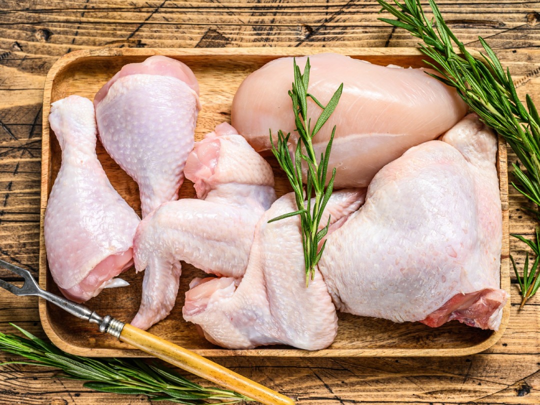 Chicken